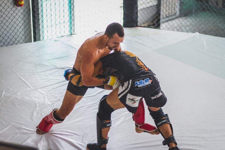 Read more about the article MMA