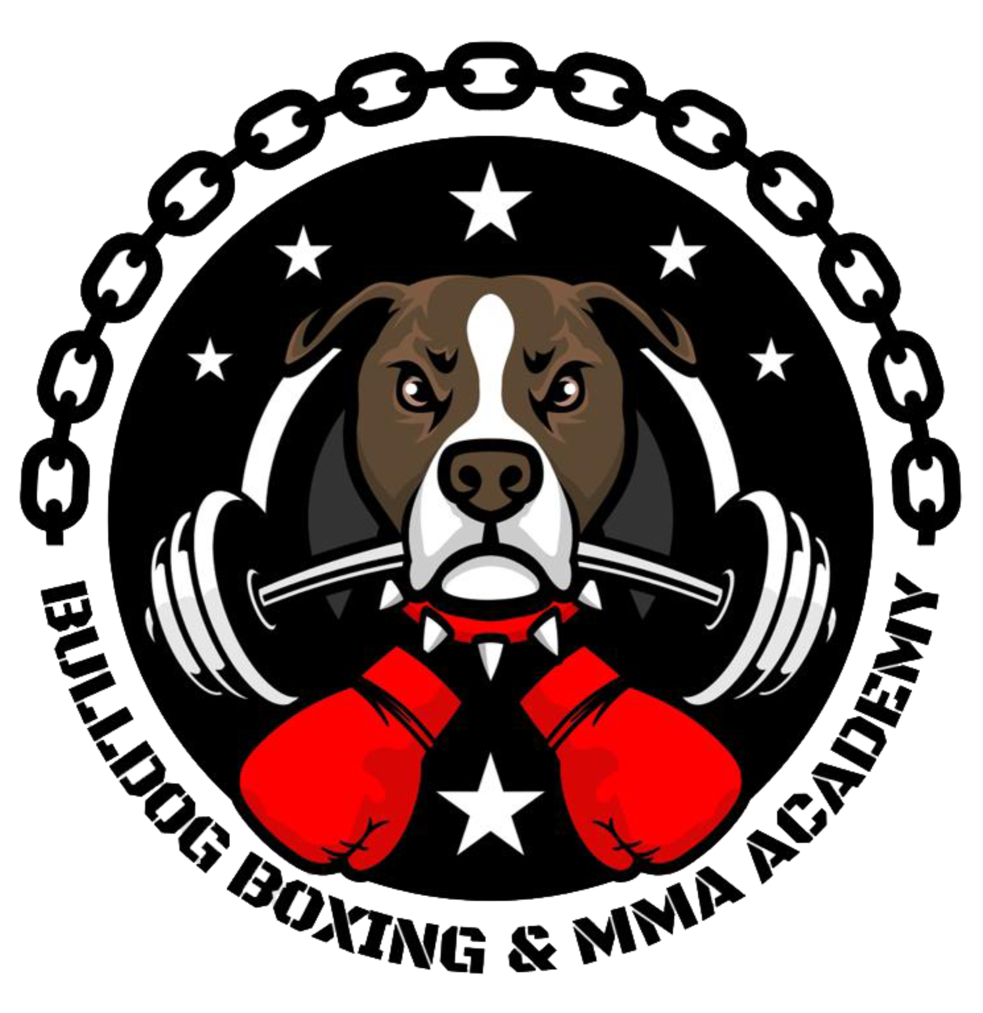 Bulldog Boxing & MMA Academy